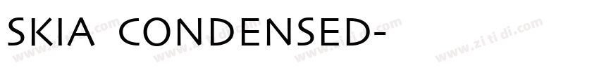 SKIA CONDENSED字体转换